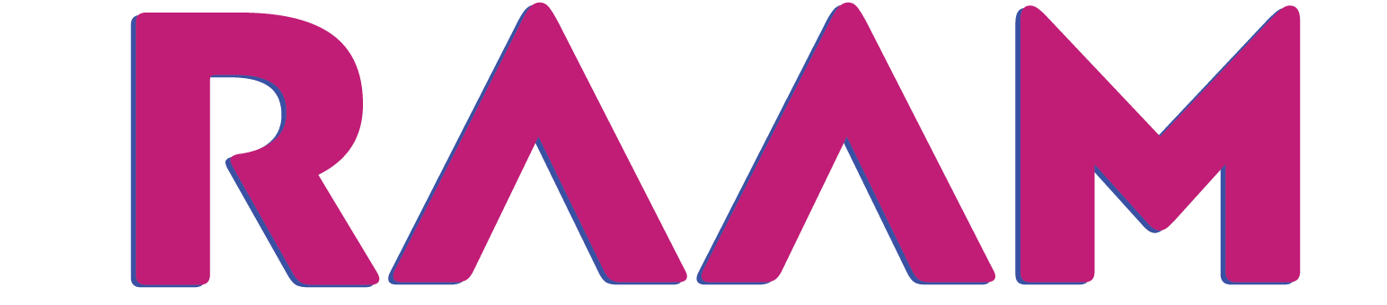 raam digital logo _mdpi - Copy